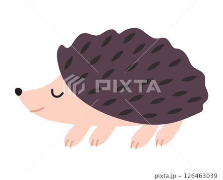 Cute hedgehog. Hand drawn autumn forest character. Flat vector illustration isolated on white. 126463039