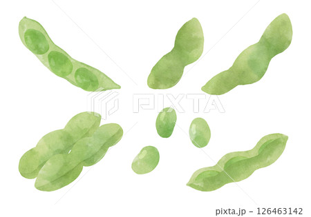 水彩風の枝豆のイラストセット 126463142