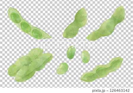 水彩風格毛豆插圖集 水彩風格毛豆插圖集 126463142