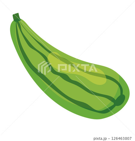 Green striped zucchini icon. Vector 126463807
