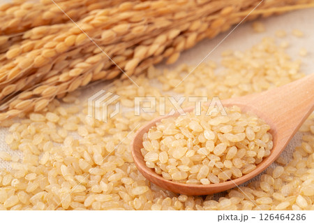 稲穂とスプーンに載せた発芽玄米 126464286