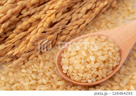 稲穂とスプーンに載せた発芽玄米 稲穂とスプーンに載せた発芽玄米 126464293