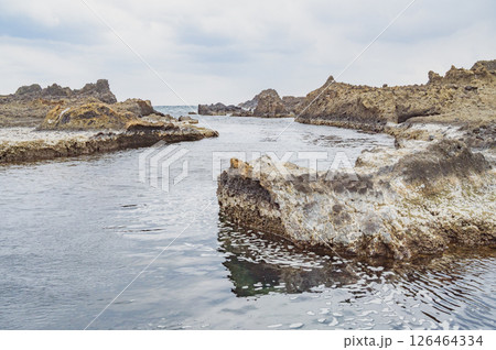 たらい舟からの景色(佐渡・宿根木) たらい舟からの景色(佐渡・宿根木) 126464334
