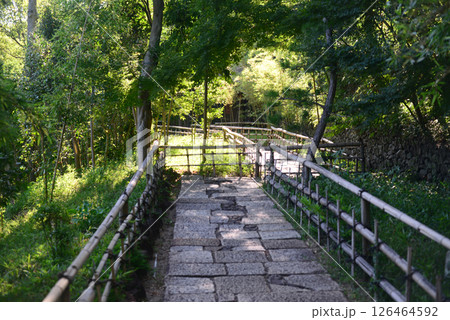 四国村森の中の石畳の小径 126464592