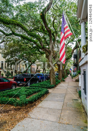 Residential street in Savannah Residential street in Savannah 126464848