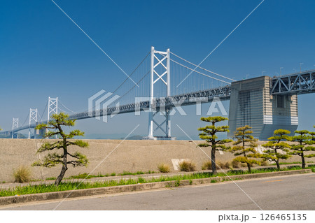 《香川県》青空の下の瀬戸大橋 《香川県》青空の下の瀬戸大橋 126465135