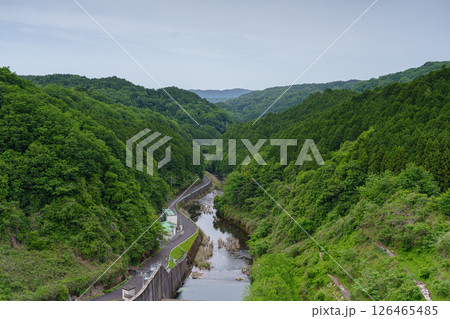 より鮮やかに色濃くなった布目ダム北側布目川の渓谷の風景② 126465485