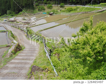 四谷千枚田 四谷千枚田 126465497