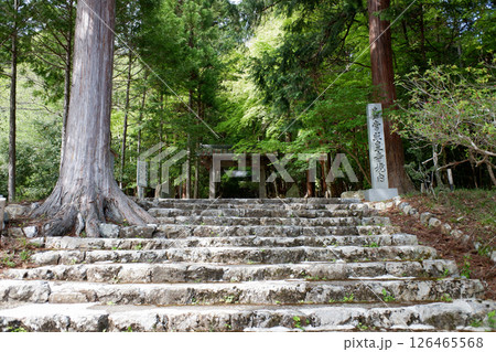 京都府　常照皇寺山門 126465568