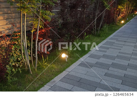 ガーデンライト 126465634