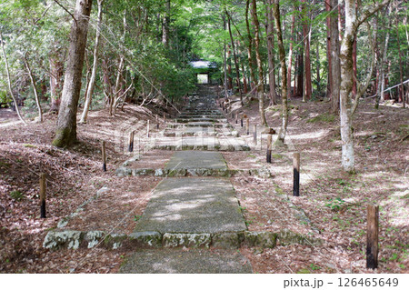 京都府　常照皇寺参道 126465649
