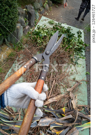 切った枝葉を細かく切る植木屋 切った枝葉を細かく切る植木屋 126465727