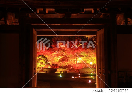 岩手県奥州市　えさし藤原の郷　紅葉ライトアップ 126465752