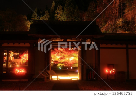 岩手県奥州市　えさし藤原の郷　紅葉ライトアップ 126465753