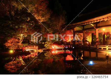 岩手県奥州市 えさし藤原の郷 紅葉ライトアップ 岩手県奥州市 えさし藤原の郷 紅葉ライトアップ 126465754