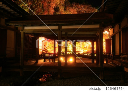岩手県奥州市 えさし藤原の郷 紅葉ライトアップ 岩手県奥州市 えさし藤原の郷 紅葉ライトアップ 126465764