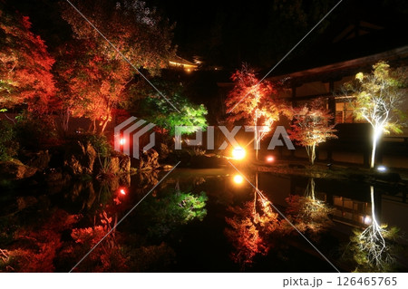 岩手県奥州市　えさし藤原の郷　紅葉ライトアップ 126465765