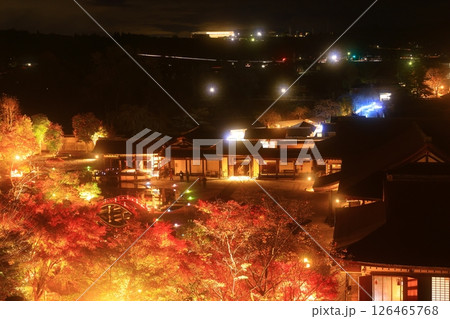 岩手県奥州市　えさし藤原の郷　紅葉ライトアップ 126465768