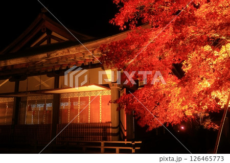 岩手県奥州市 えさし藤原の郷 紅葉ライトアップ 岩手県奥州市 えさし藤原の郷 紅葉ライトアップ 126465773
