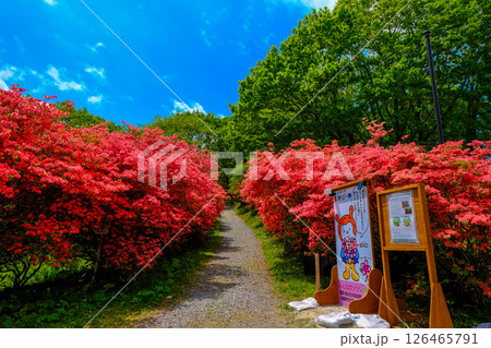 徳仙丈山登山口 126465791