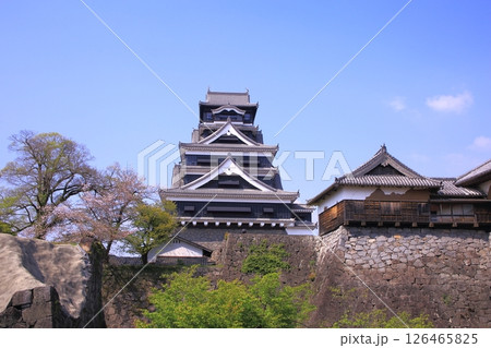 熊本城 熊本城 126465825