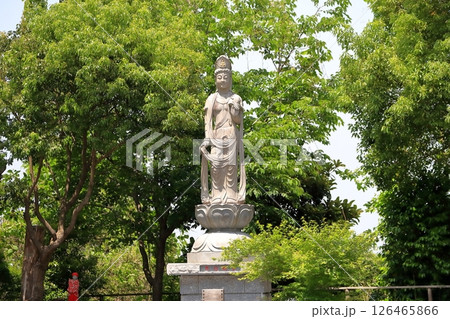 布施観音像（千葉県柏市） 126465866