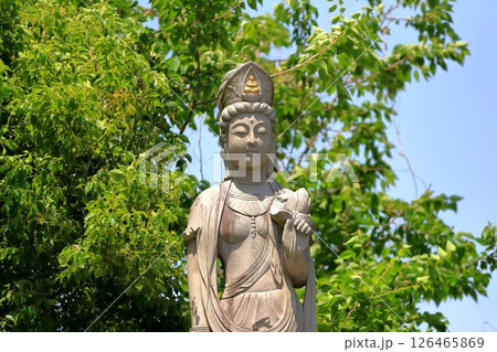 布施観音像（千葉県柏市） 126465869