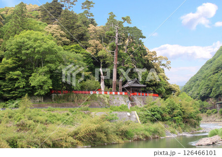 保津の火まつり請田神社 126466101