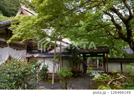 京都府　常照皇寺 126466149