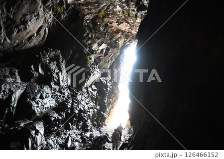 初夏の昇り龍 126466152