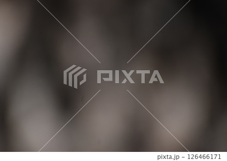 松の木肌をテーマにした背景素材 126466171