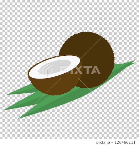 シンプルなココナッツのイラスト 126466211