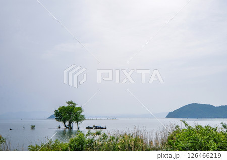 滋賀県の北びわ湖 滋賀県の北びわ湖 126466219