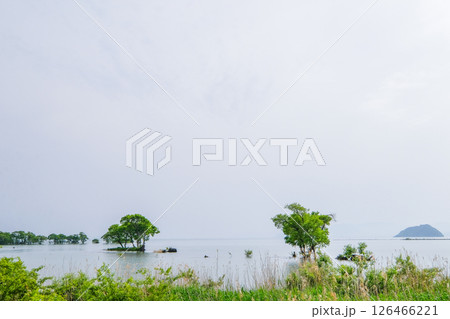 滋賀県の北びわ湖 滋賀県の北びわ湖 126466221