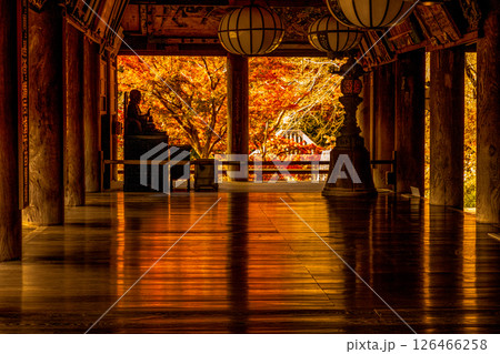 奈良　紅葉の大和国長谷寺礼堂　徳道上人 126466258