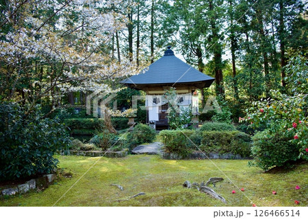 安来市 初春の雲樹寺 寺域 安来市 初春の雲樹寺 寺域 126466514