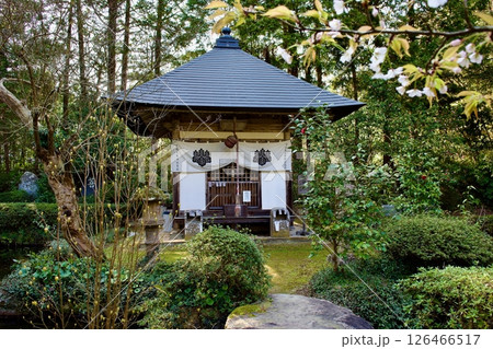 安来市　初春の雲樹寺　寺域 126466517