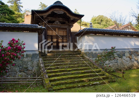 安来市 初春の雲樹寺 寺域 安来市 初春の雲樹寺 寺域 126466519