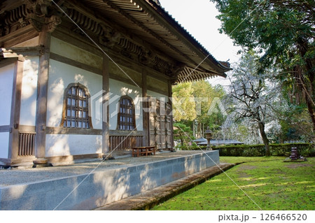 安来市　初春の雲樹寺　寺域 126466520