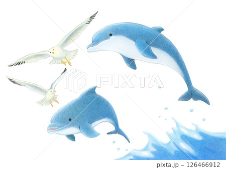 カモメとジャンプするイルカ 色鉛筆画 カモメとジャンプするイルカ 色鉛筆画 126466912