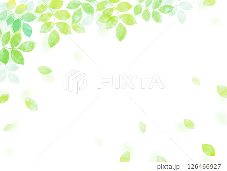 新緑の葉が舞う爽やかなイラスト背景 新緑の葉が舞う爽やかなイラスト背景 126466927