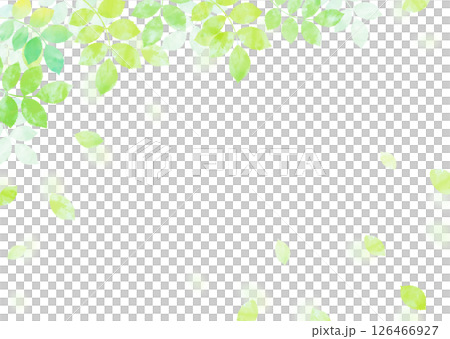 新緑の葉が舞う爽やかなイラスト背景 新緑の葉が舞う爽やかなイラスト背景 126466927