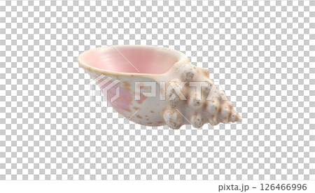A conch shell featured on a transparent background, reflecting the spirit of summer beach vacations and seashell aesthetics 126466996