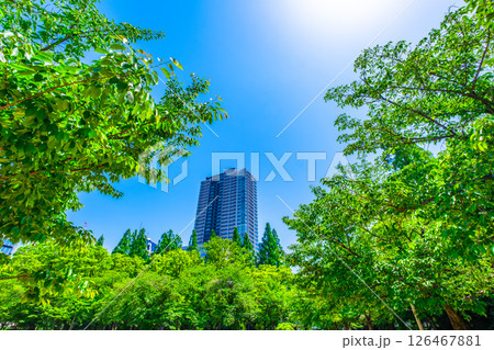 タワーマンションと桜の新緑 126467881