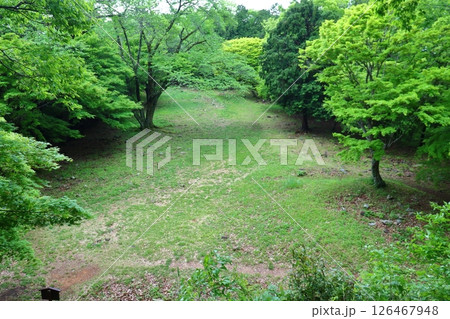 小谷城跡 本丸跡から見下ろす大広間跡（滋賀県長浜市） 126467948