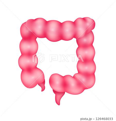 Human internal internal organ anatomy model isolated on white background. Science and medical concept. For ads about health care. 3D icon vector illustration. Human internal internal organ anatomy model isolated on white background. Science and medical concept. For ads about health care. 3D icon vector illustration. 126468033