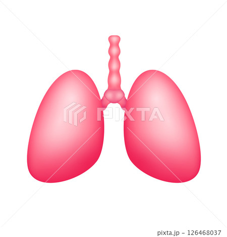 Human lung internal organ anatomy model isolated on white background. Science and medical concept. For ads about health care. 3D icon vector illustration. Human lung internal organ anatomy model isolated on white background. Science and medical concept. For ads about health care. 3D icon vector illustration. 126468037