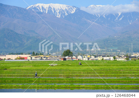 安曇野サイクリングロード【安曇野市】 安曇野サイクリングロード【安曇野市】 126468044