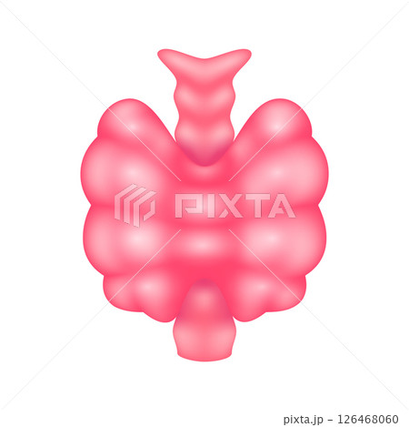 Human thyroid gland internal organ anatomy model isolated on white background. Science and medical concept. For ads about health care. 3D icon vector illustration. 126468060