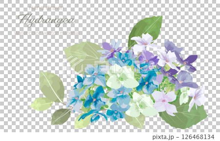 Watercolor hydrangea decorative frame 126468134